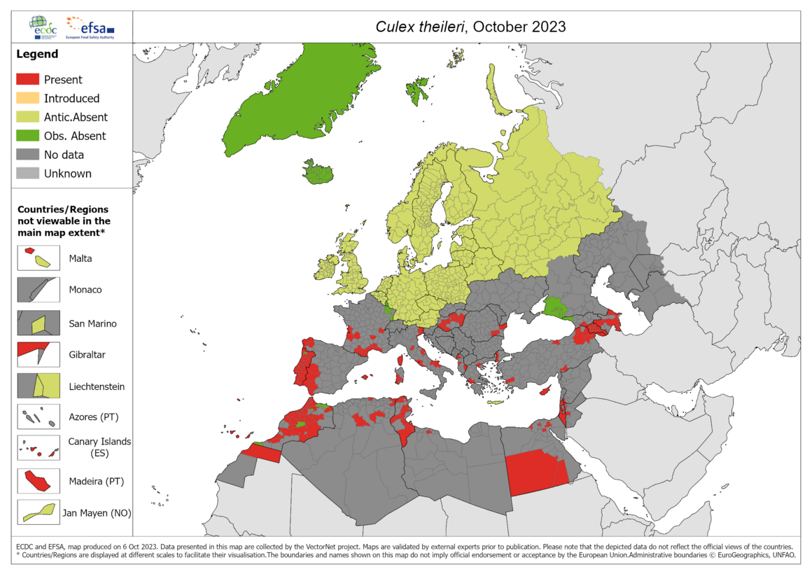 Culex theileri - current known distribution: October 2023