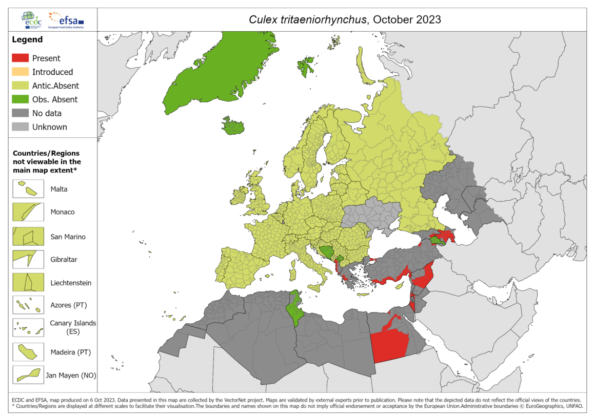 Culex tritaeniorhynchus - current known distribution: October 2023