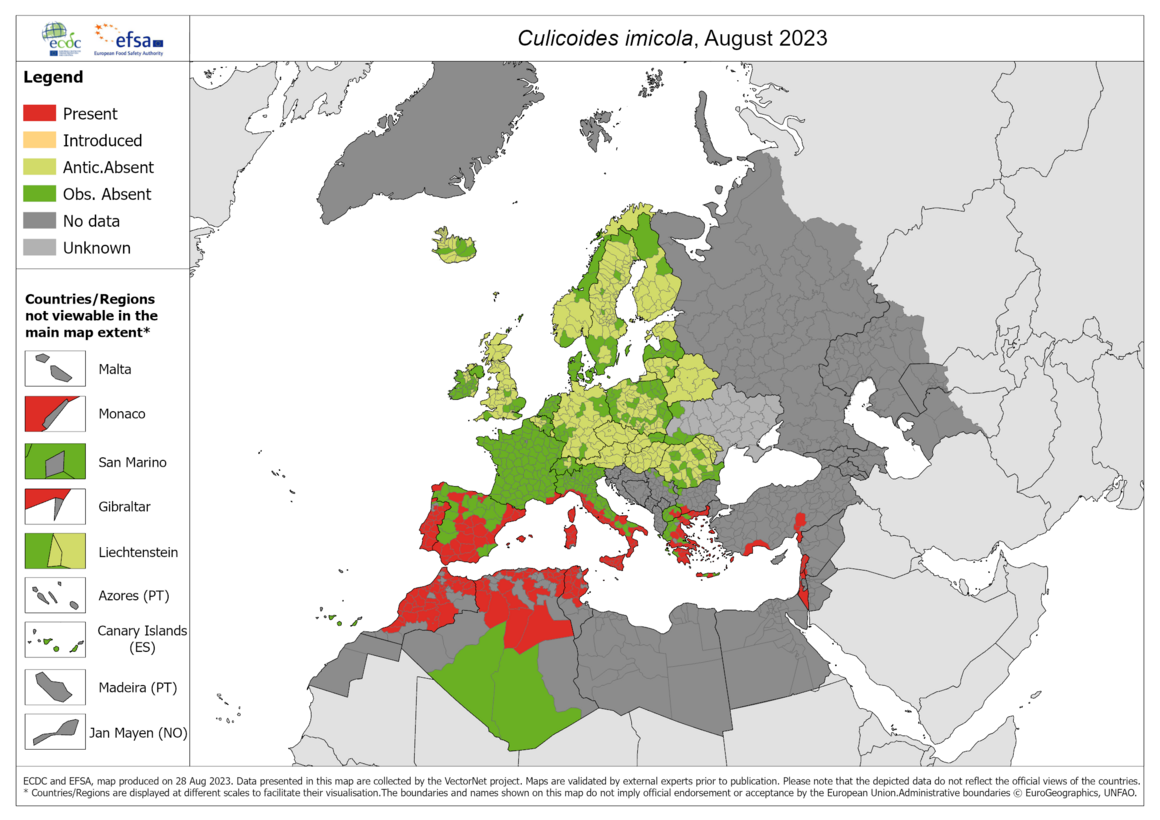 Culicoides imicola - current known distribution: August 2023