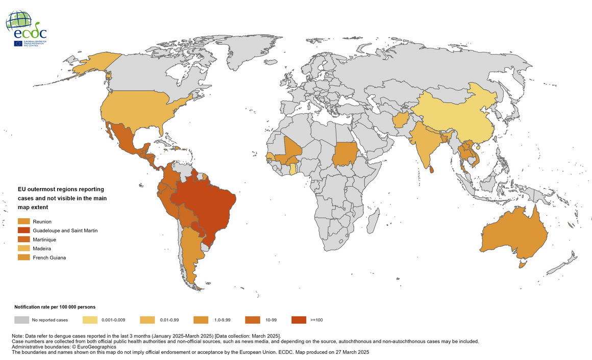 Geographical distribution of dengue cases reported worldwide, January–March 2025