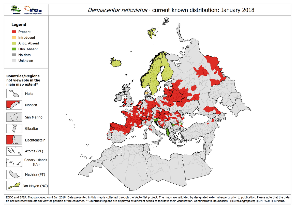 Dermacentor reticulatus - current known distribution, January 2018