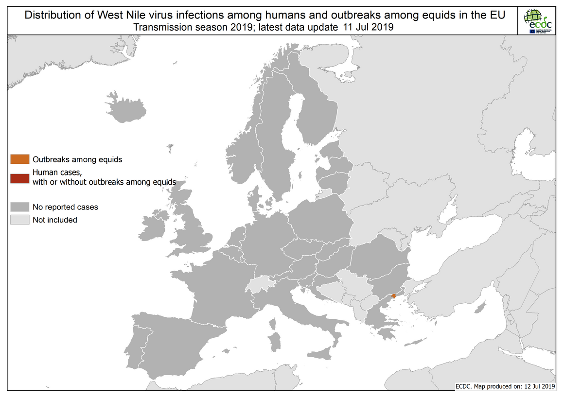 West Nile virus in Europe in 2019 - human and equine cases, updated 11 July