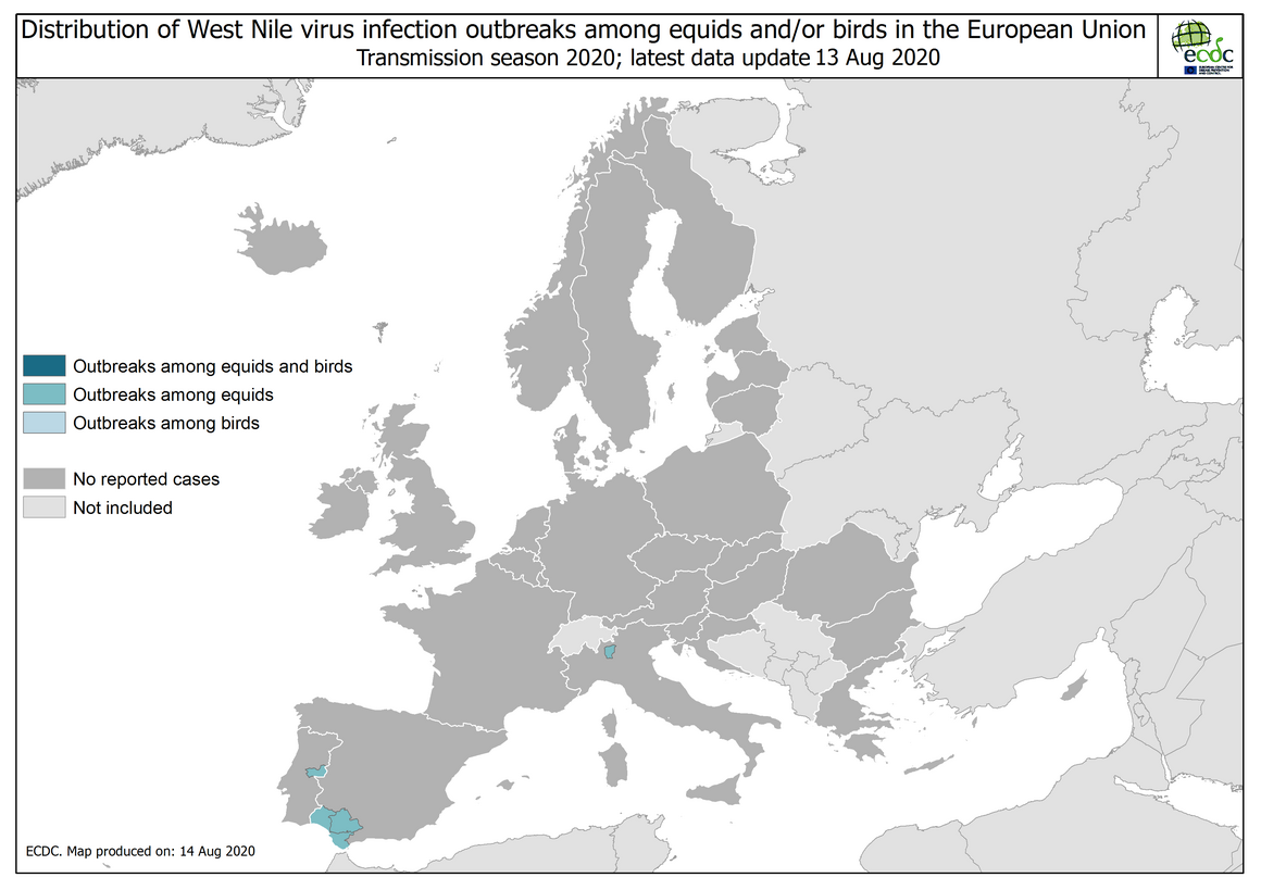 West Nile virus in Europe in 2020 - outbreaks among equids and/or birds, updated 13 August 2020