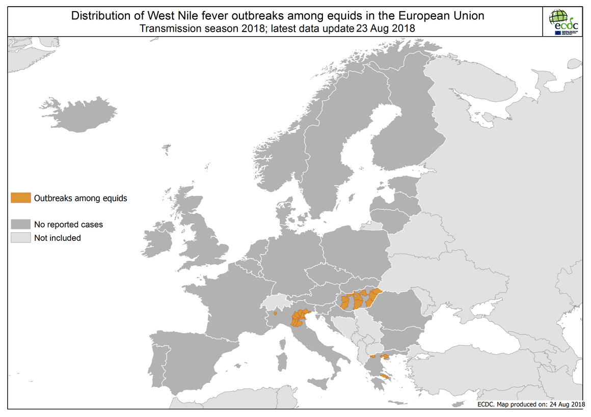 Map - West Nile fever in Europe in 2018 - equine cases; updated 24 August