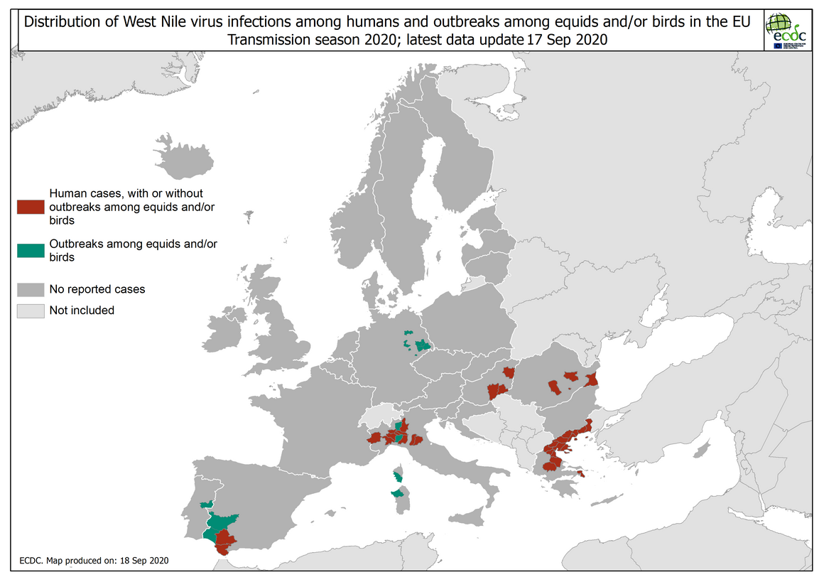 West Nile virus in Europe in 2020 - infections among humans and outbreaks among equids and/or birds, updated 17 September 2020