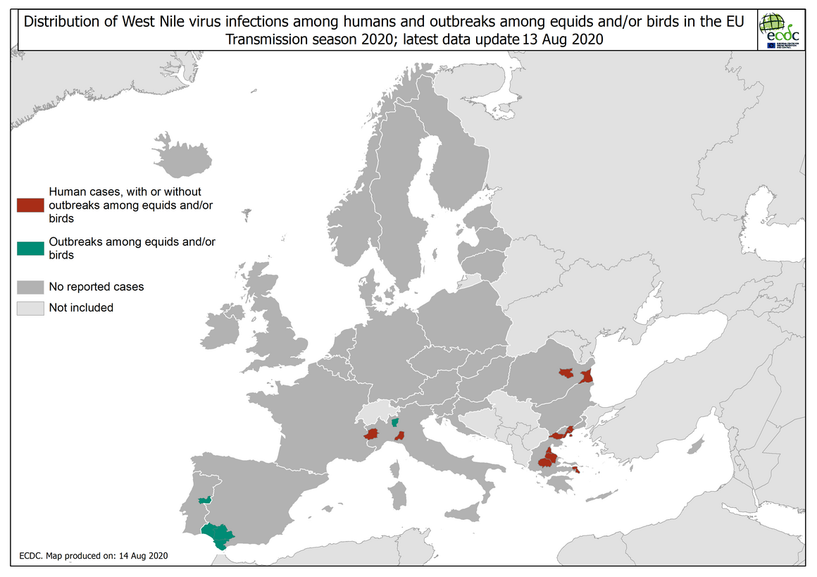 West Nile virus in Europe in 2020 - infections among humans and outbreaks among equids and/or birds, updated 13 August 2020