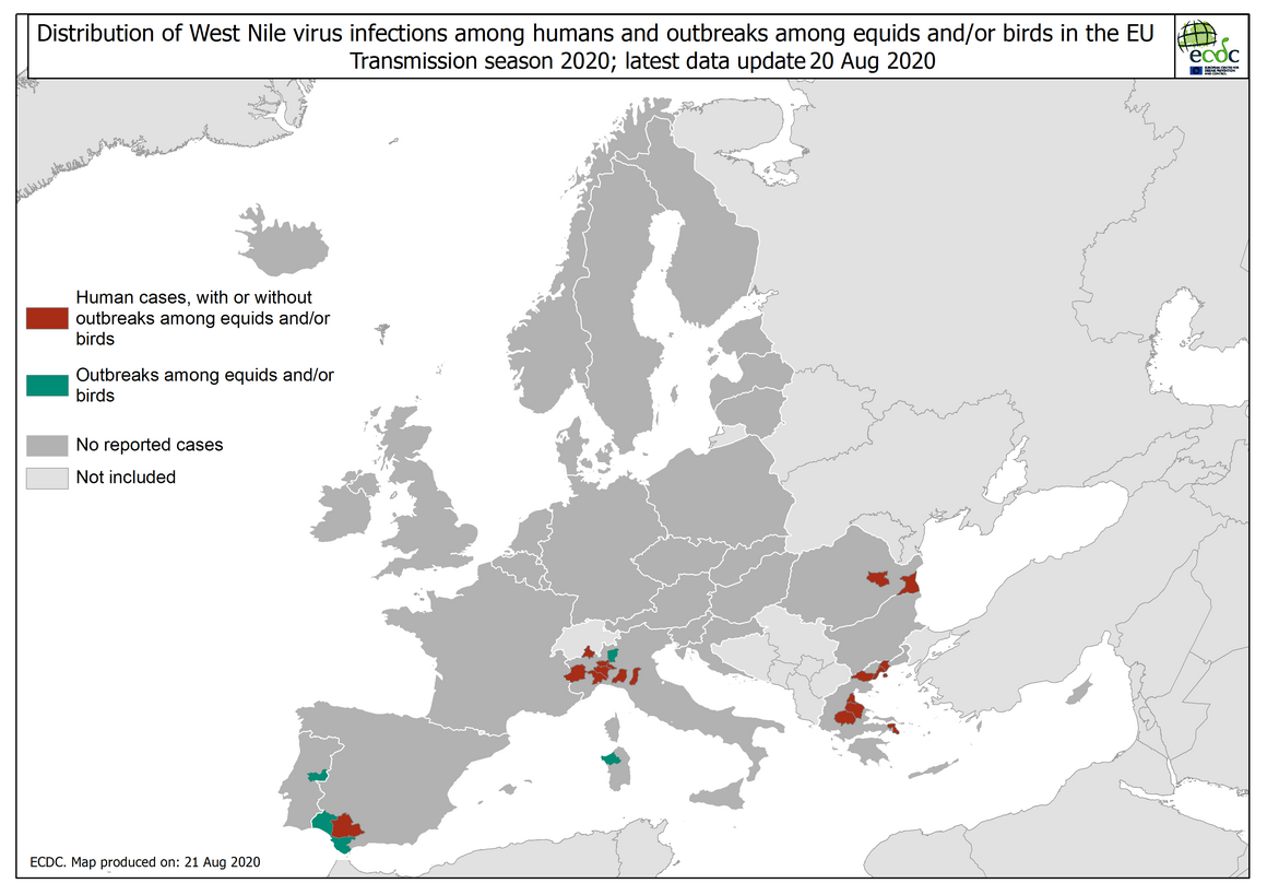 West Nile virus in Europe in 2020 - infections among humans and outbreaks among equids and/or birds, updated 20 August 2020