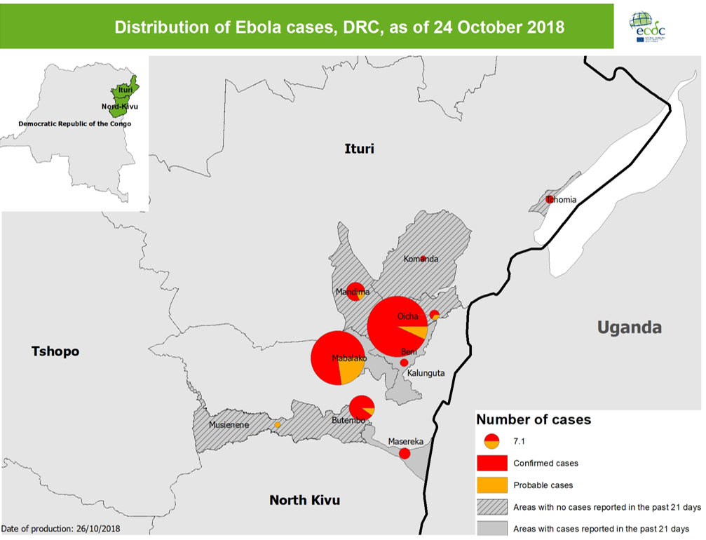 Was ist ebola virus