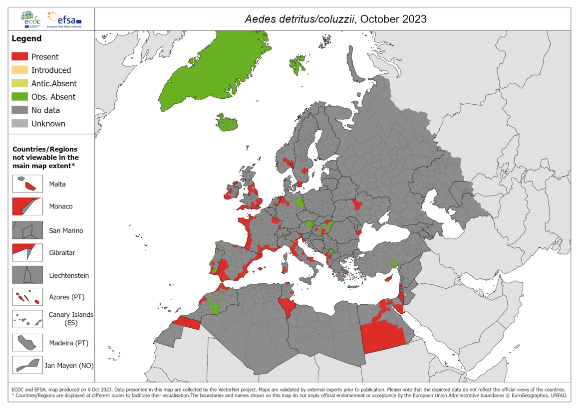 Aedes detritus/Aedes coluzzii - current known distribution: October 2023