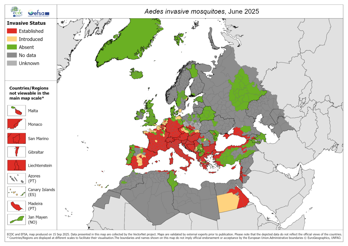 Aedes invasive mosquitoes map June 2025