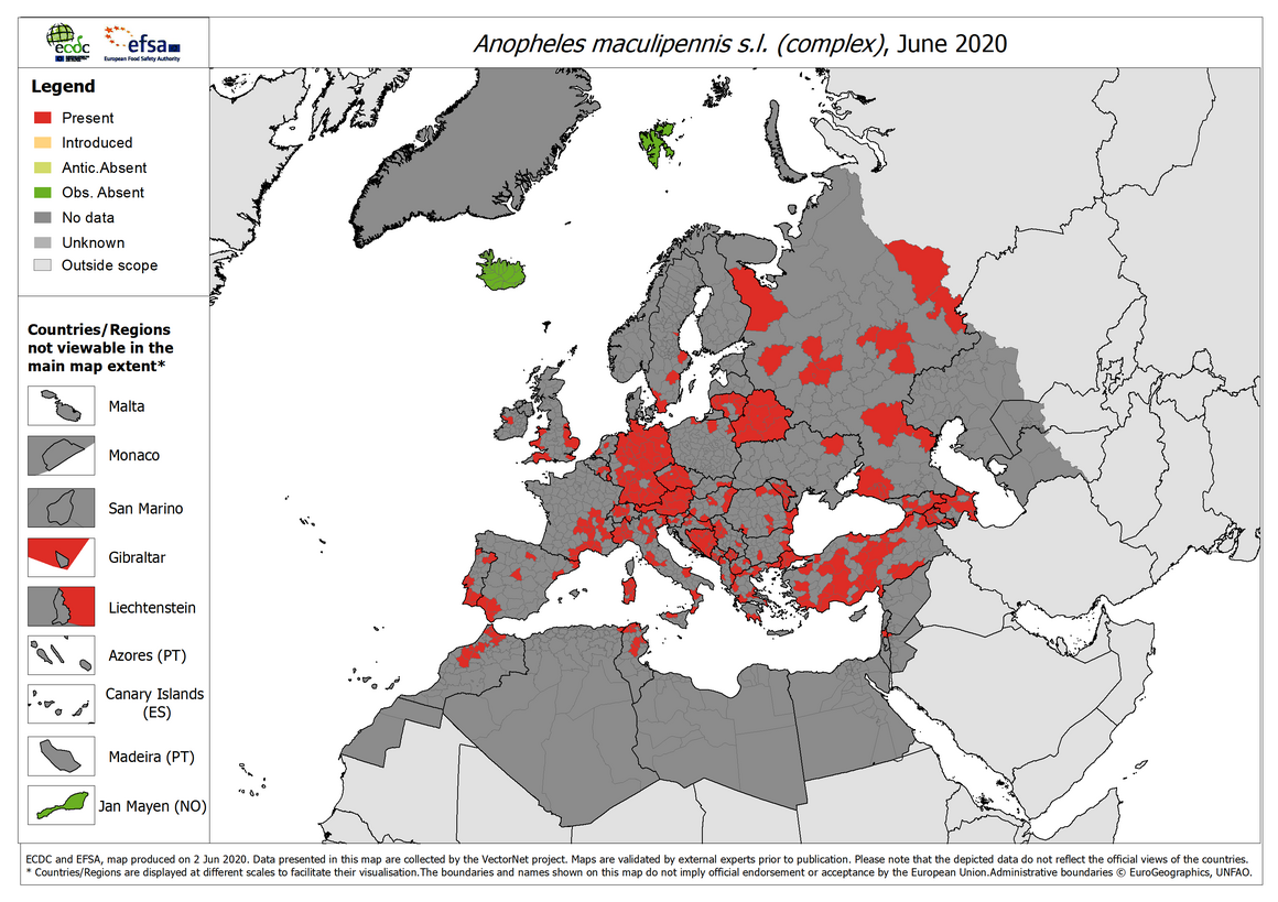 Anopheles maculipennis s.l. - current known distribution: May 2020