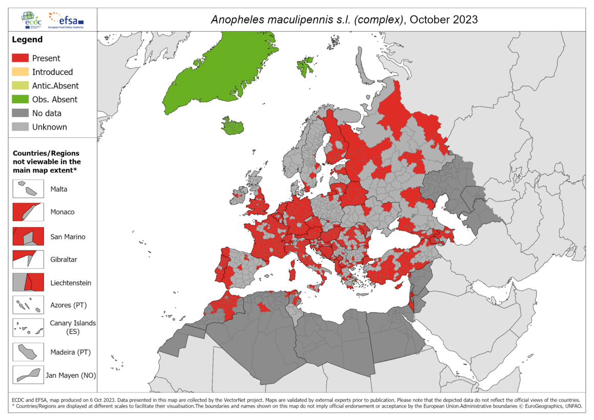 Anopheles maculipennis s.l. - current known distribution: October 2023