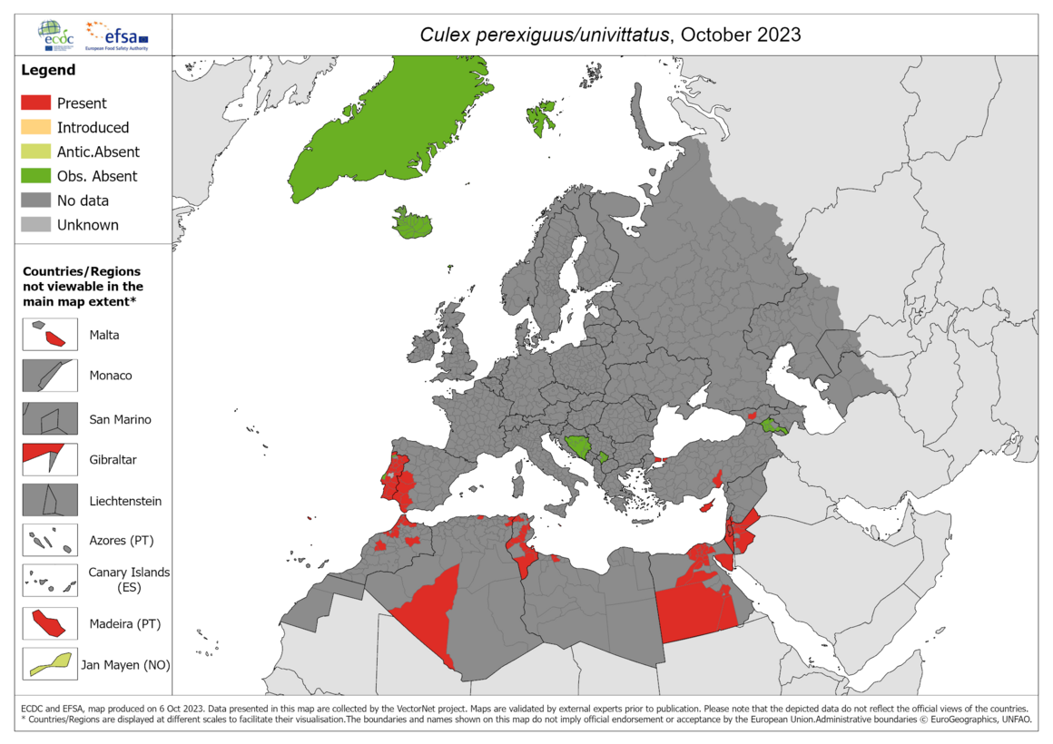 Culex perexiguus/univittatus - current known distribution: October 2023