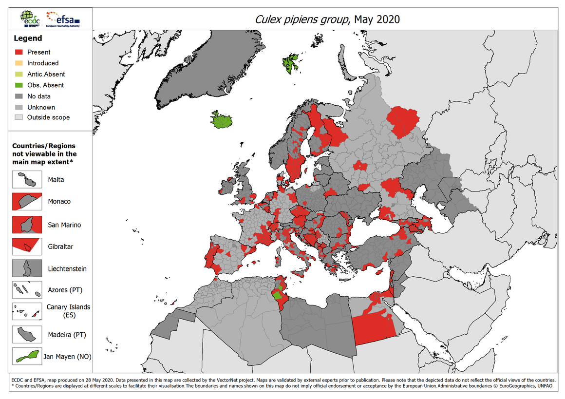Culex pipiens group - current known distribution: May 2020