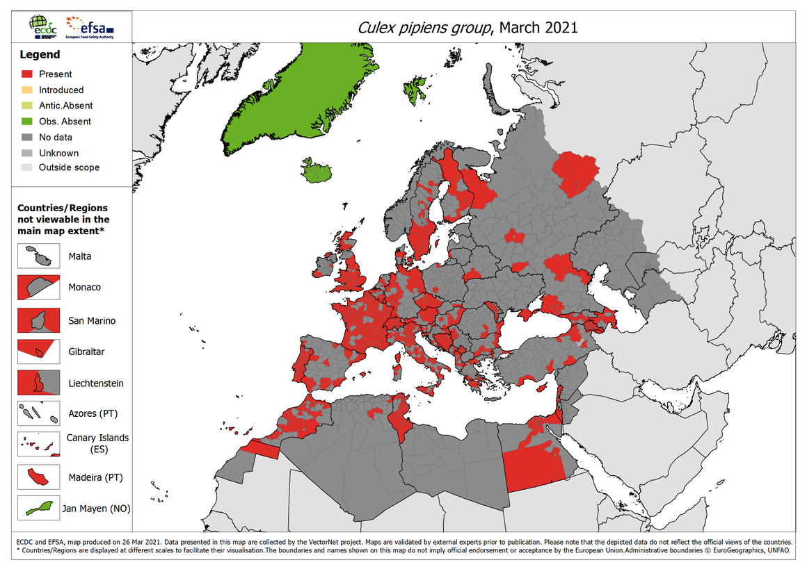 Culex pipiens group - current known distribution: March 2021