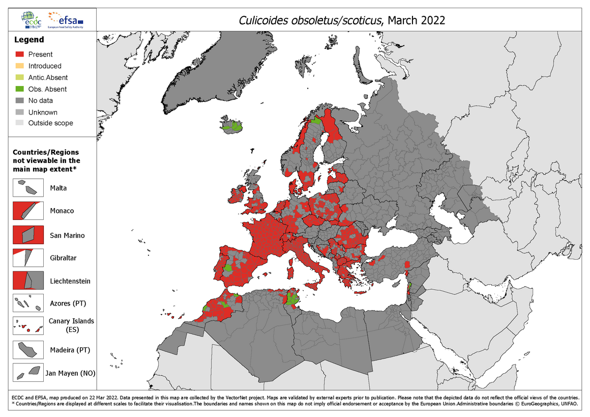 Culicoides obsoletus/scoticus - current known distribution: March 2022
