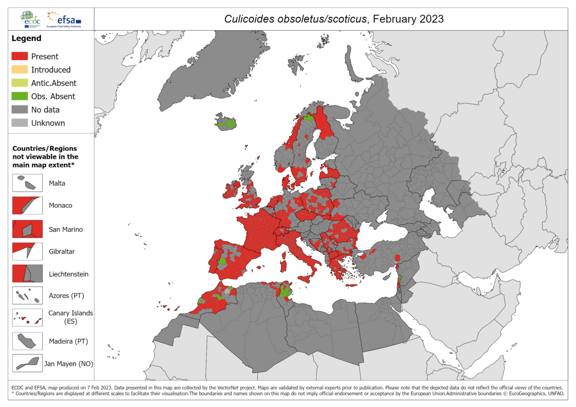 Culicoides obsoletus/scoticus - current known distribution: February 2023