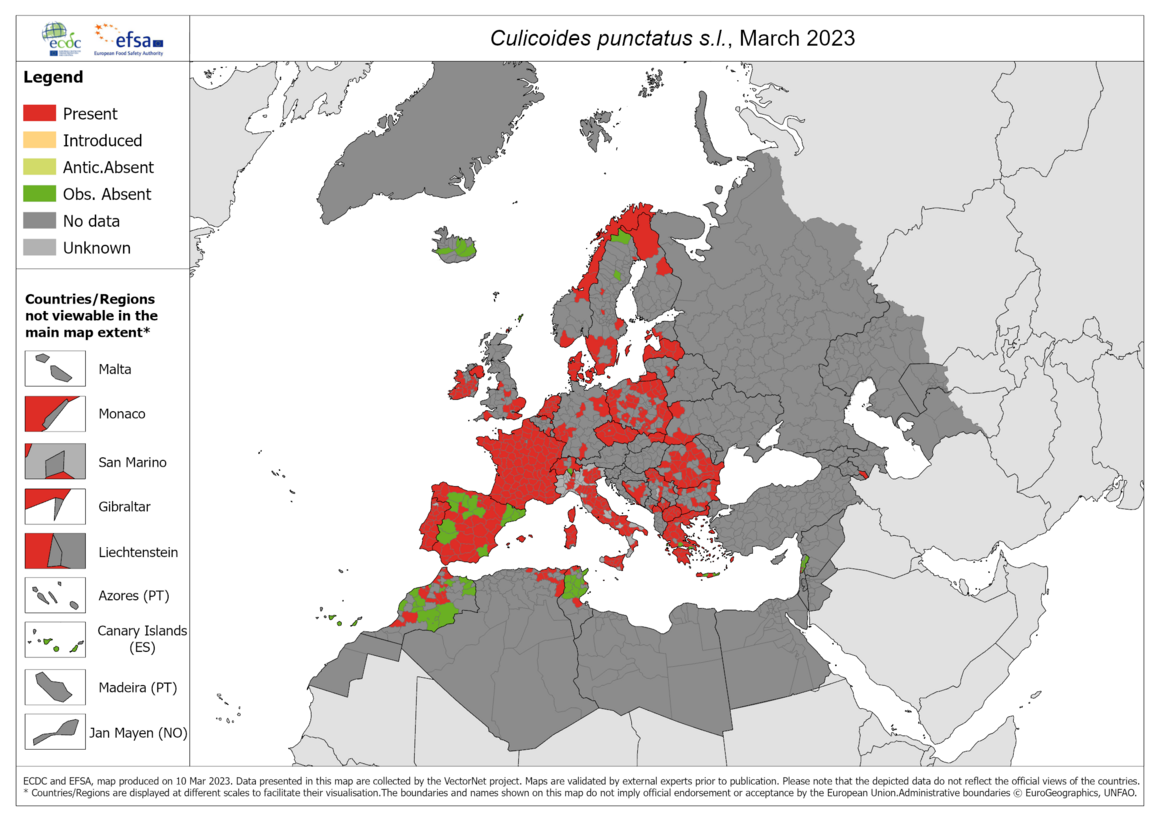 Culicoides punctatus s.l. - current known distribution: March 2023