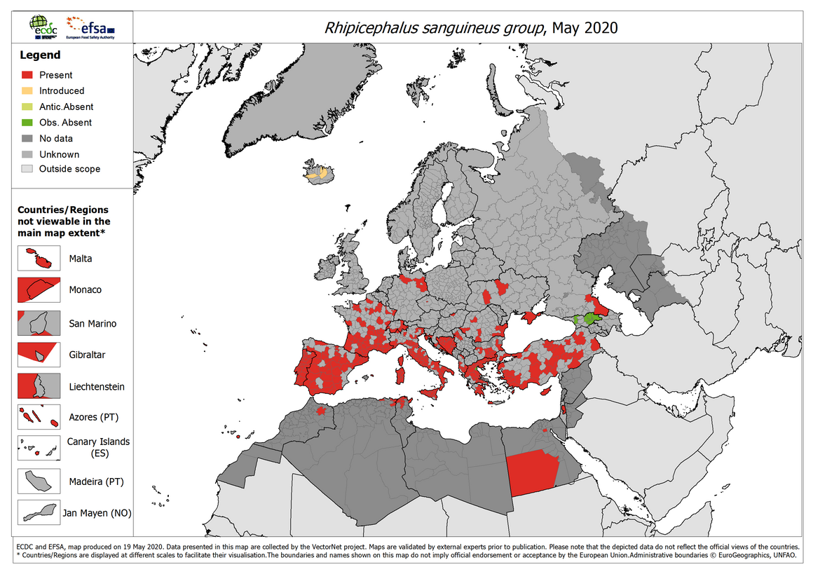 Rhipicephalus sanguineus - current known distribution: May 2020