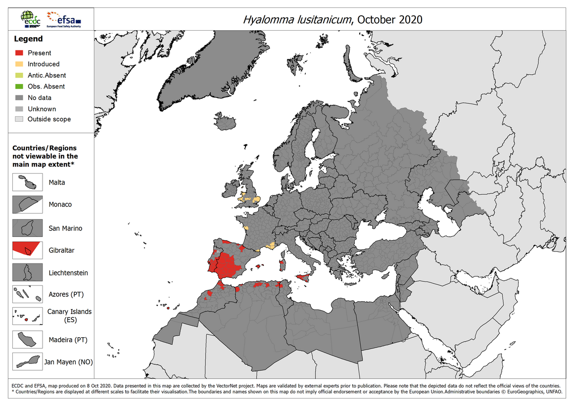 Hyalomma lusitanicum - current known distribution: October 2020