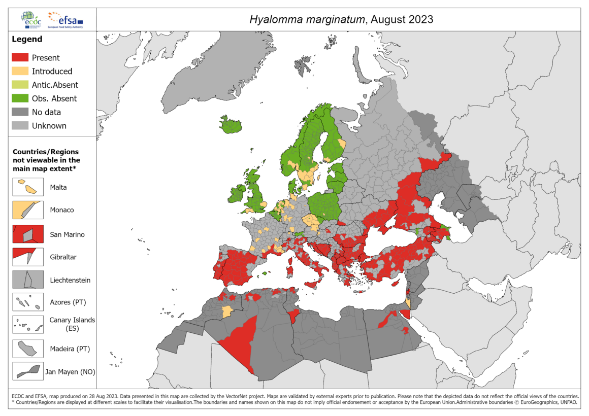 Hyalomma marginatum - current known distribution: August 2023