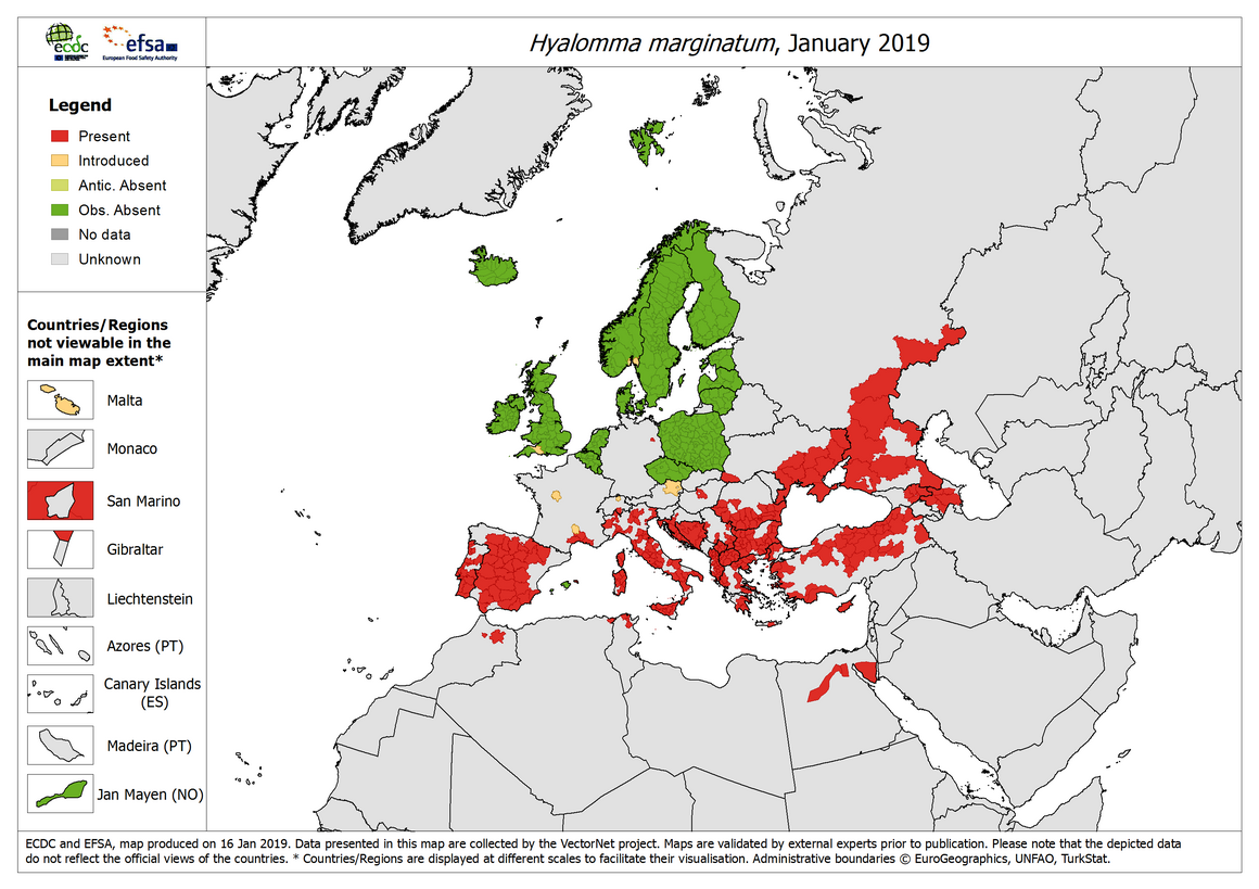 Map: Hyalomma marginatum - current known distribution: January 2019