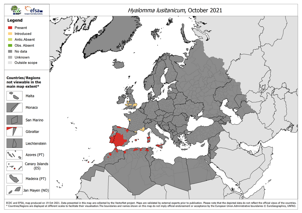 Hyalomma lusitanicum - current known distribution: October 2021