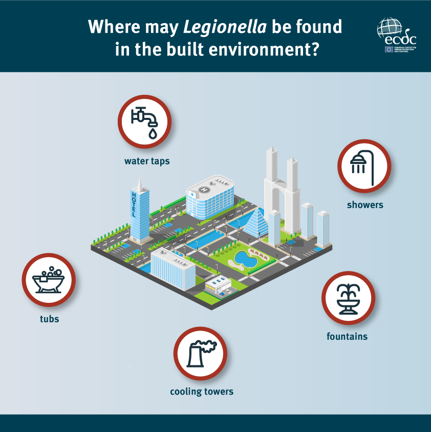 Social media card: Legionella in the built environment