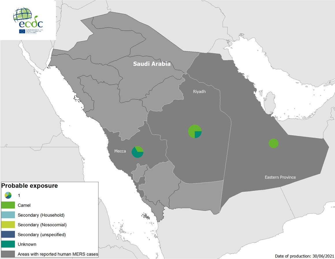 Geographical distribution of confirmed MERS-CoV cases, 1 January 2020 to 30 June 2021