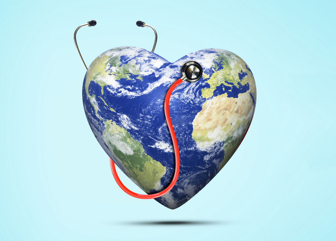 One Health 