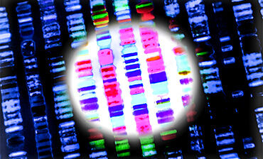 Molecular and genomic typing. © Istock