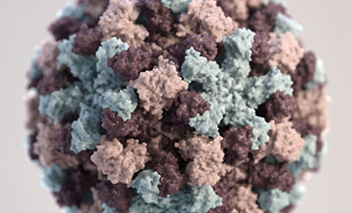 3D graphical representation of a single Norovirus virion. Credit: CDC/ Jessica A. Allen