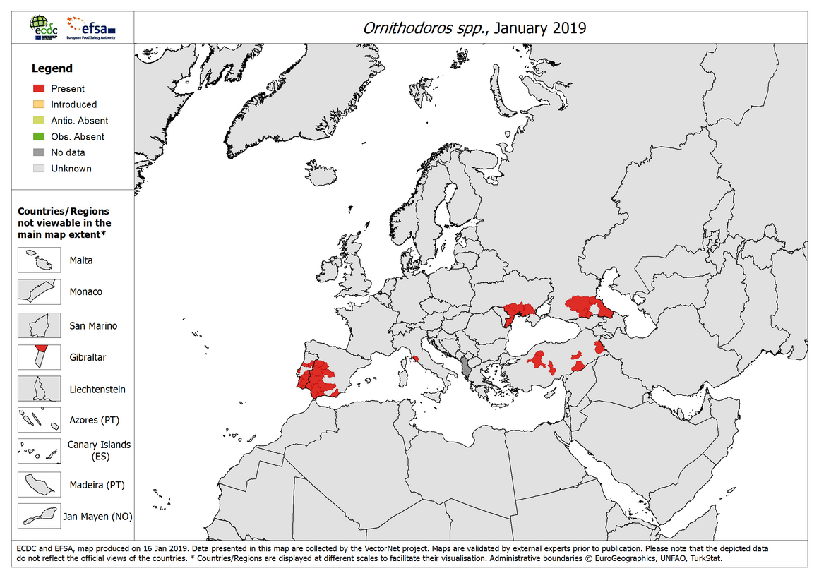 Map: Ornithodoros - current known distribution: January 2019