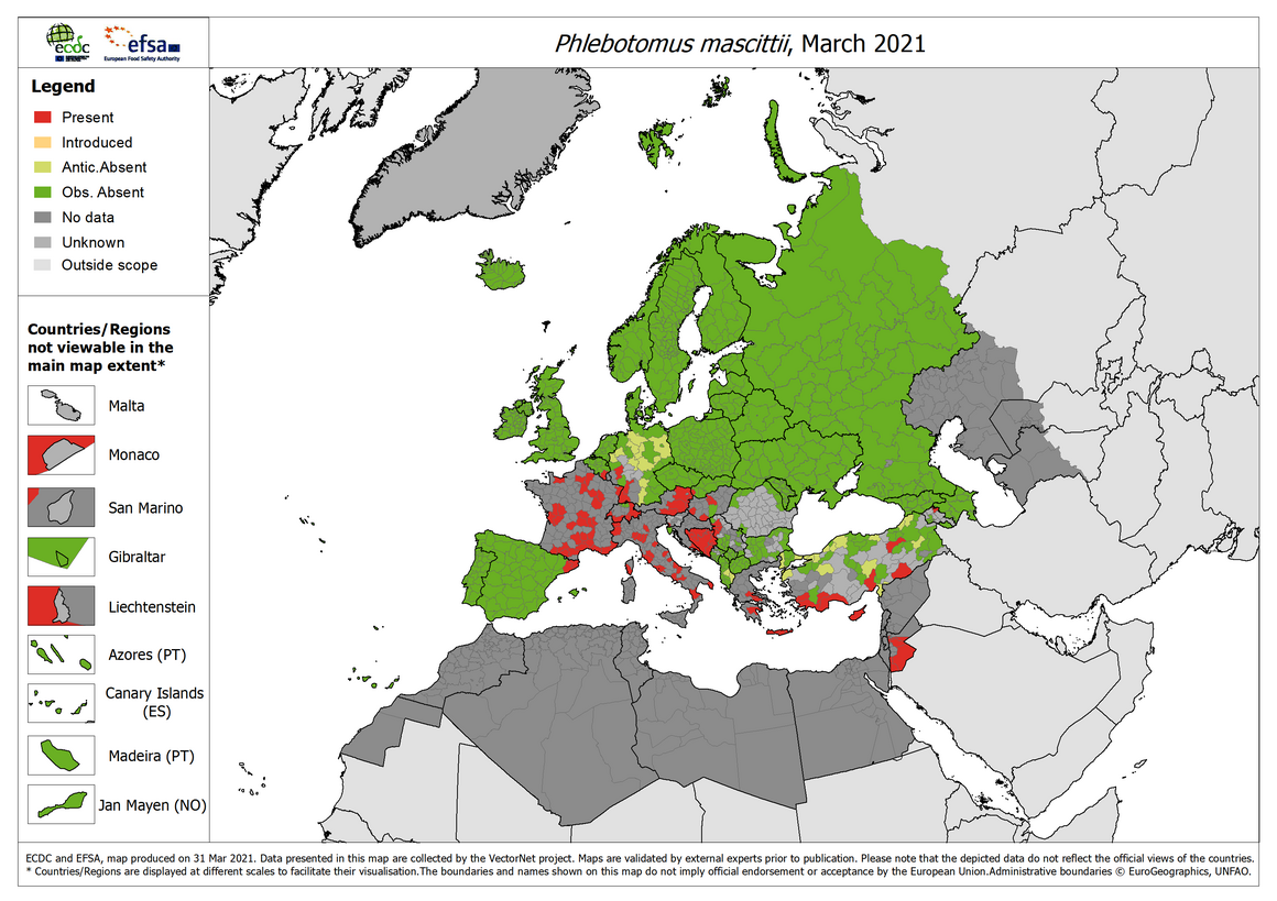 Phlebotomus mascittii current known distribution March 2021