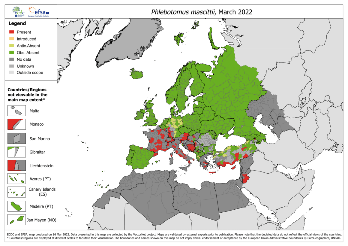Phlebotomus mascittii - current known distribution: March 2022