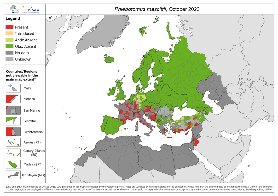 Phlebotomus mascittii - current known distribution: October 2023