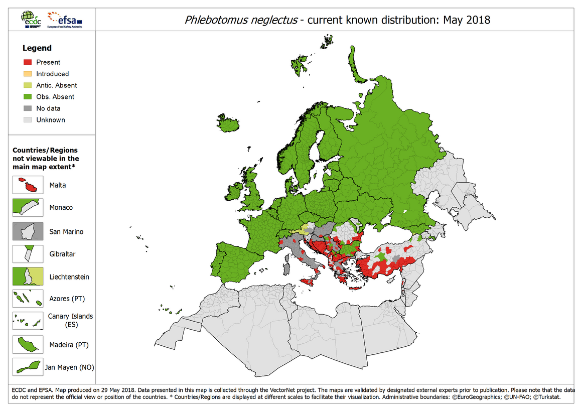 Phlebotomus neglectus - current known distribution: May 2018