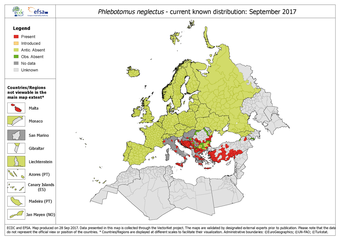 Phlebotomus neglectus - current known distribution: September 2017