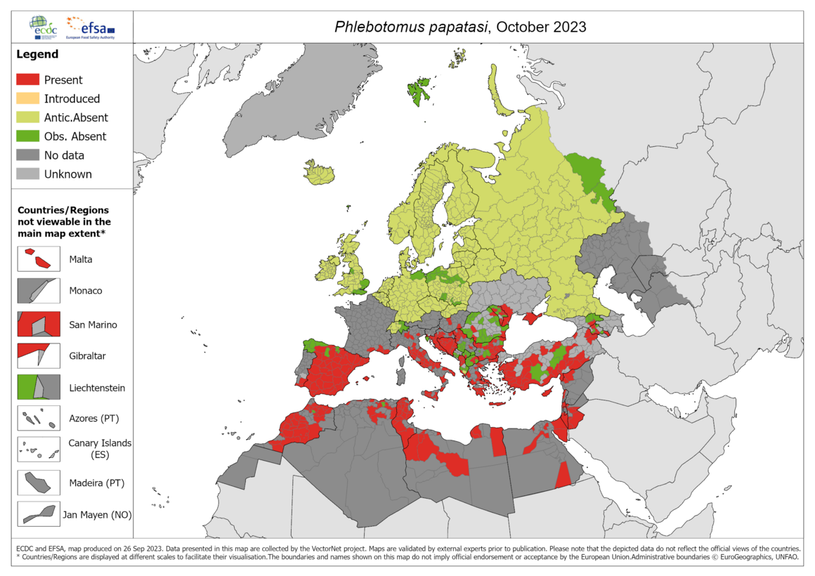 Phlebotomus papatasi - current known distribution: October 2023