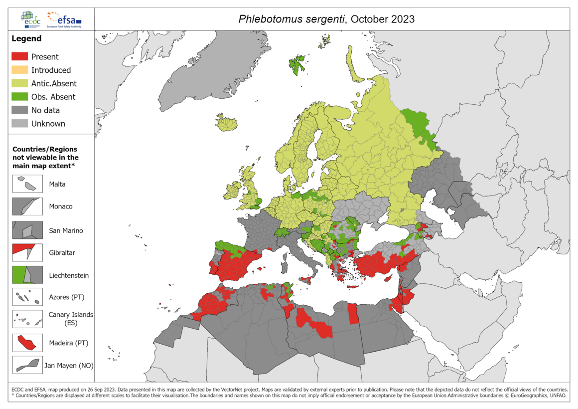 Phlebotomus sergenti - current known distribution: October 2023