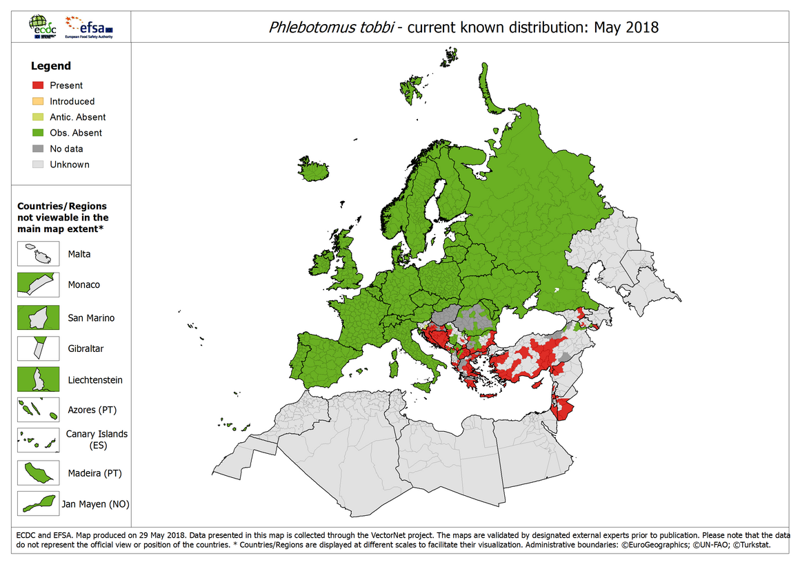 Phlebotomus tobbi - current known distribution: May 2018