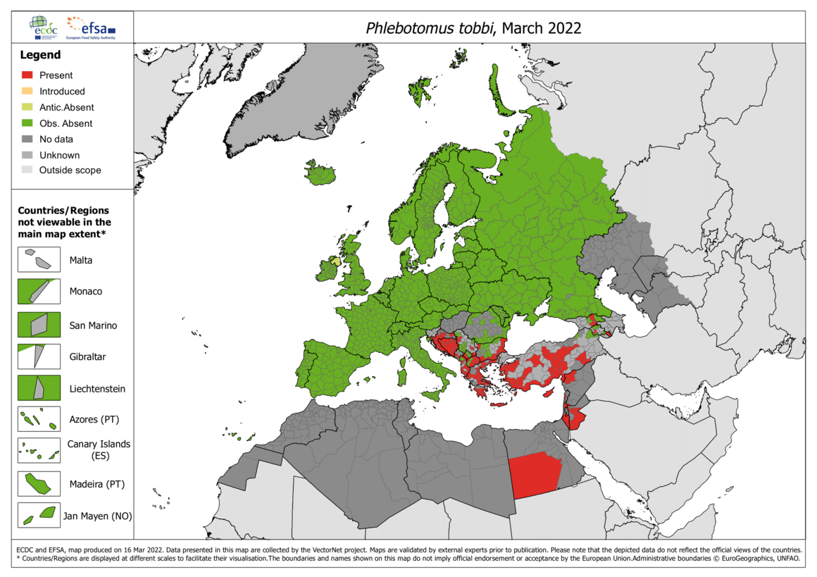 Phlebotomus tobbi - current known distribution: March 2022