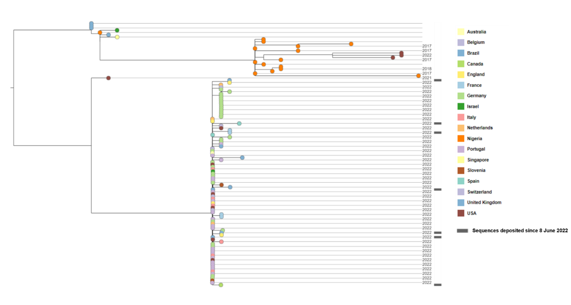 Figure 3. Phylogenetic tree of monkeypox virus sequences from West African clade as of 14 June 2022.