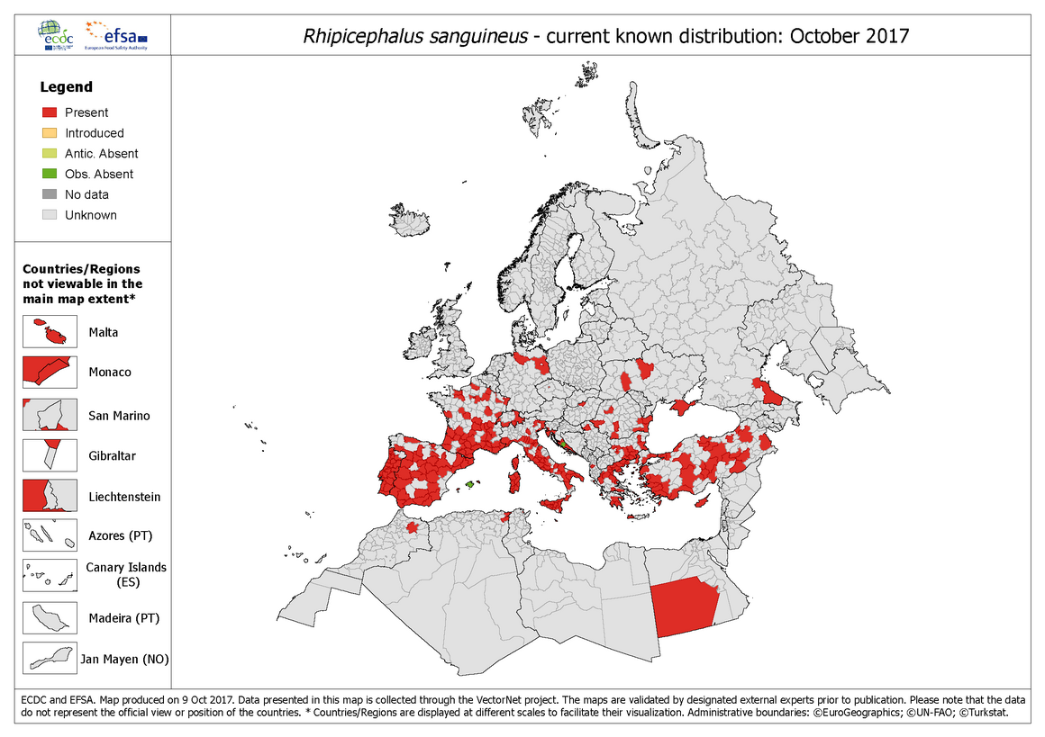 Rhipicephalus_sanguineus distribution October 2017
