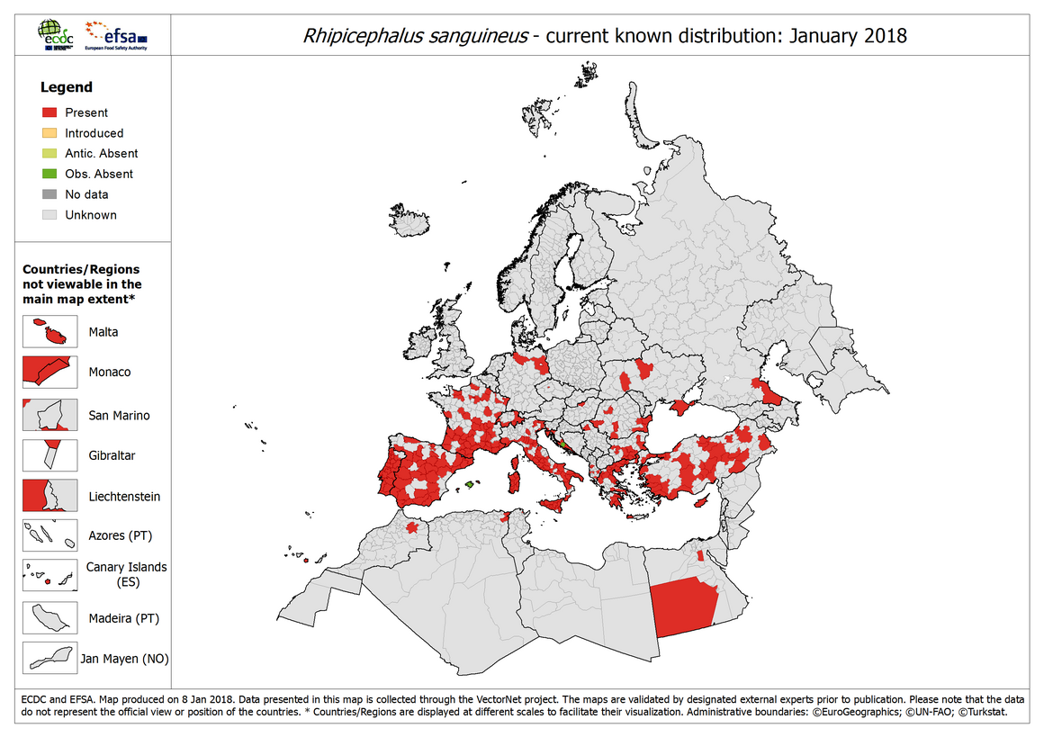 Rhipicephalus sanguineus - current known distribution: January 2018