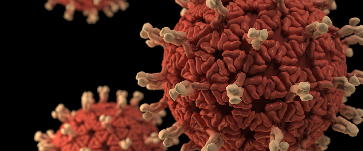 Rotavirus. Credit: CDC/ Jessica A. Allen