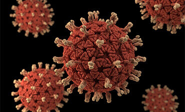 Rotavirus. Credit: CDC/ Jessica A. Allen