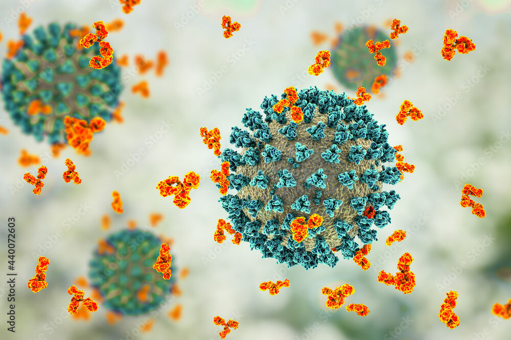 Epidemiological update: SARS-CoV-2 and NB.1.8.1 variant assessment - European Centre for Disease Prevention and Control