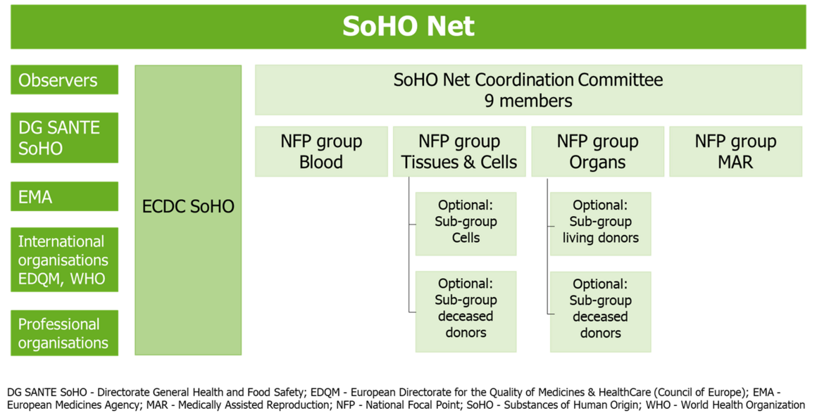 SoHO net organisation chart