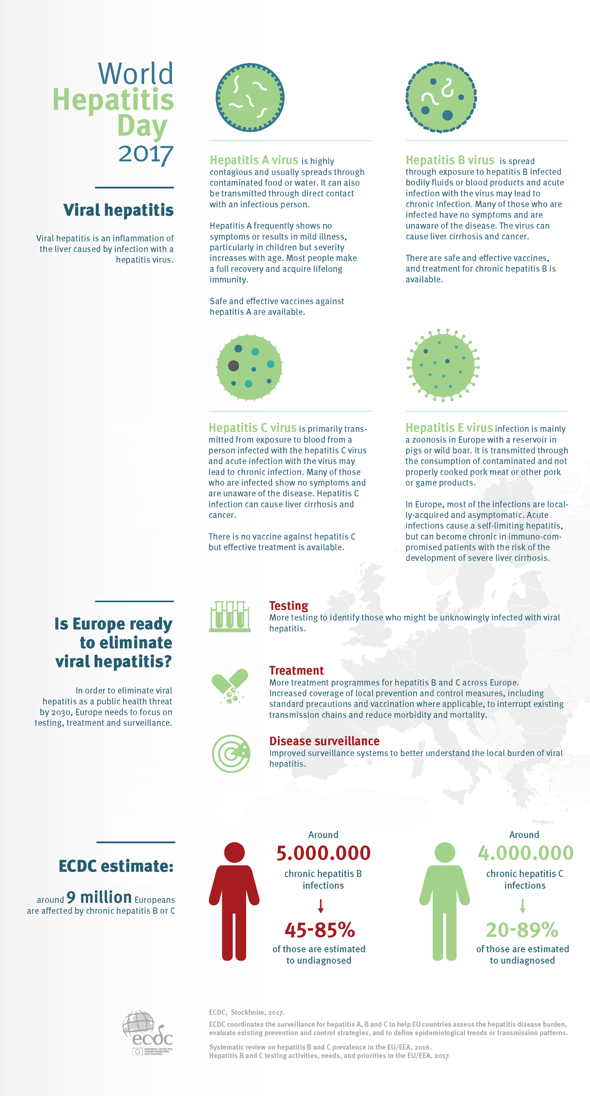 World Hepatitis Day 2017 infograph